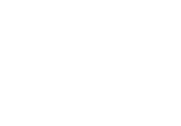 Flowense Logo